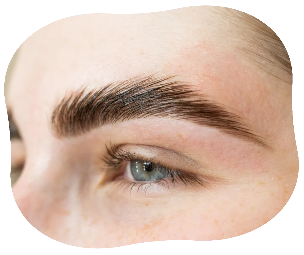 Brow Lamination Instant Volume