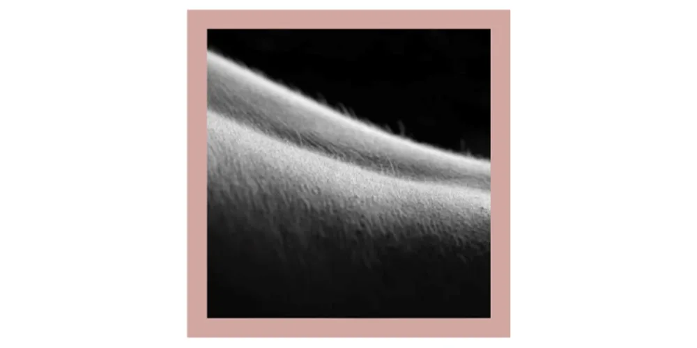 Recommended Sugaring Hair Length
