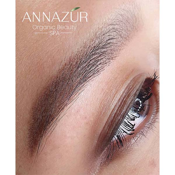 Powder Ombre Brows Near Me in Jacksonville, FL ANNAZUR