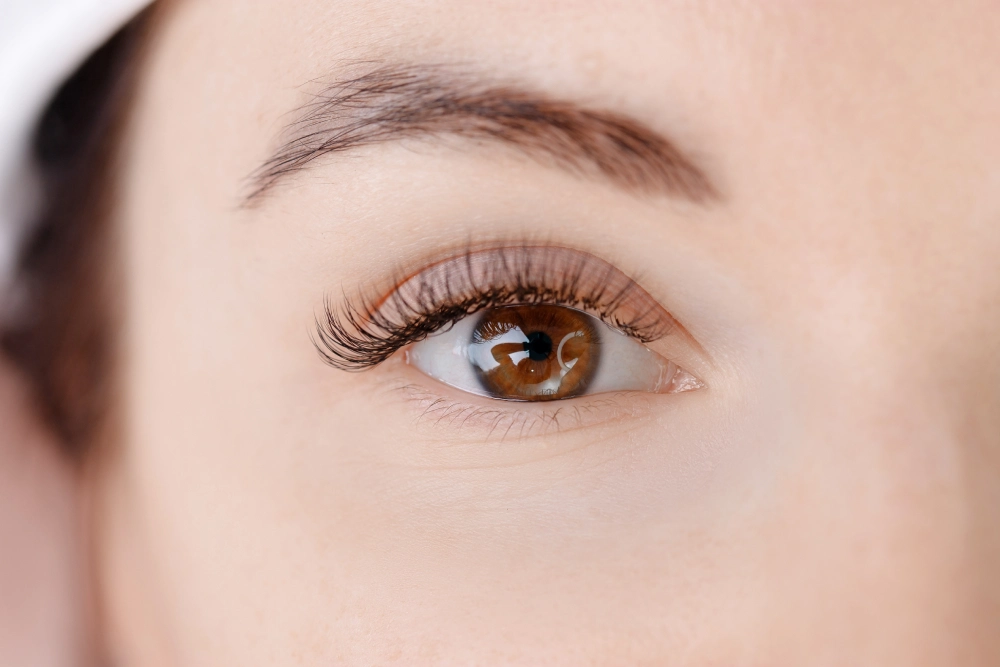b curl lash