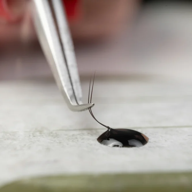 Professional hand holds tweezers with artificial eyelash over UV glue droplet for instant bonding