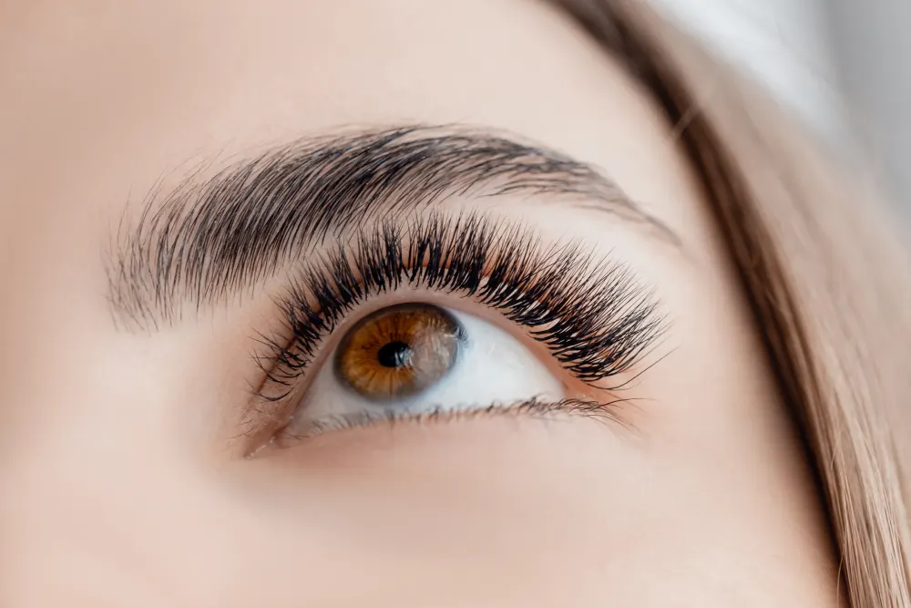 A close-up of an eye with classic eyelash extensions that provide a beautiful yet very natural and subtle appearance.