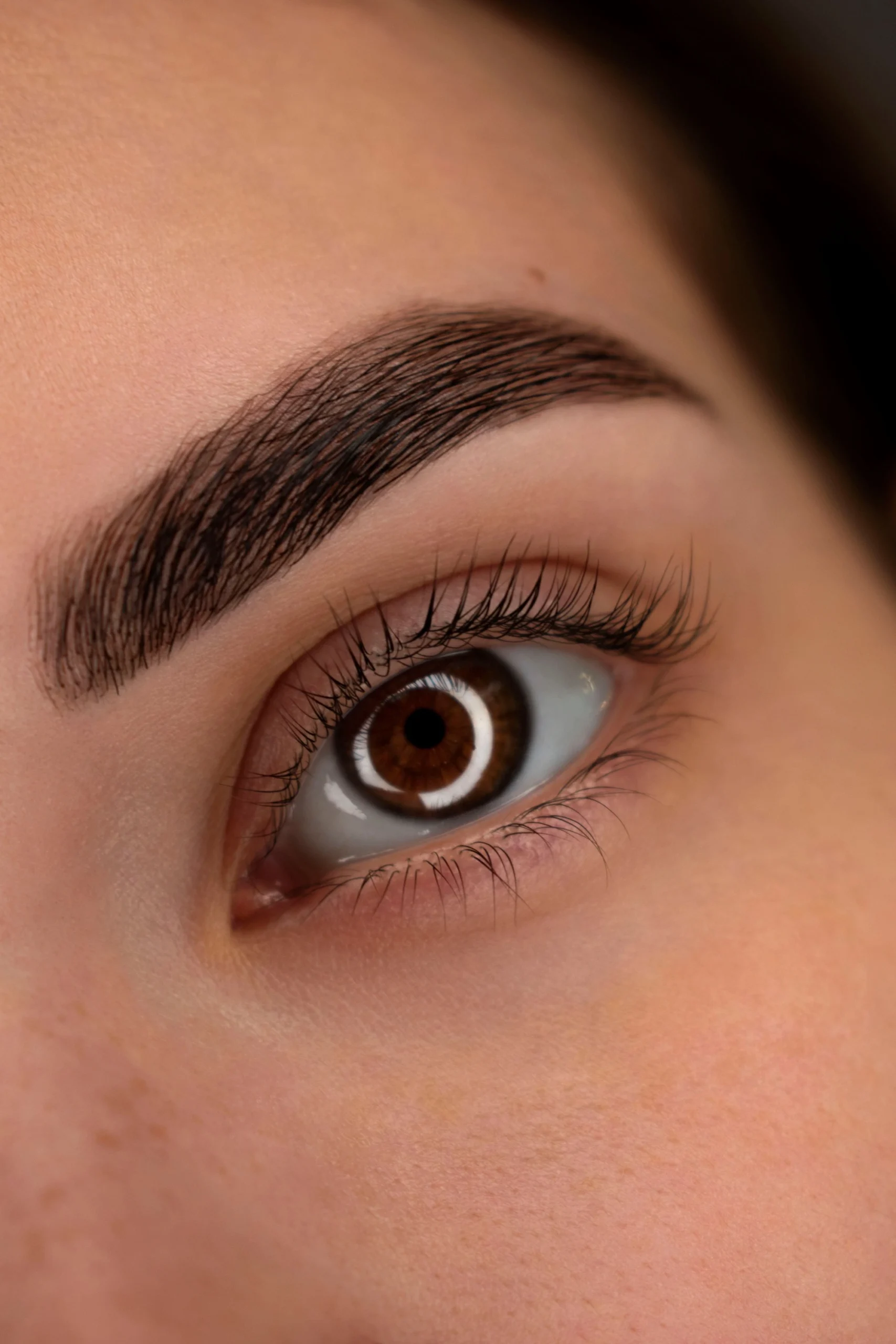 Classic Lashes (1D)