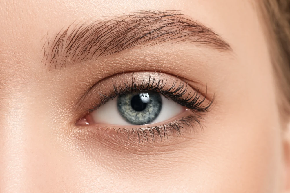 j curl lash