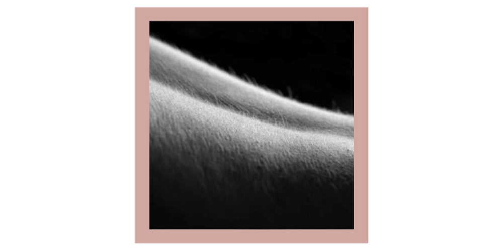 Recommended Sugaring Hair Length Recommended Sugaring Hair Length