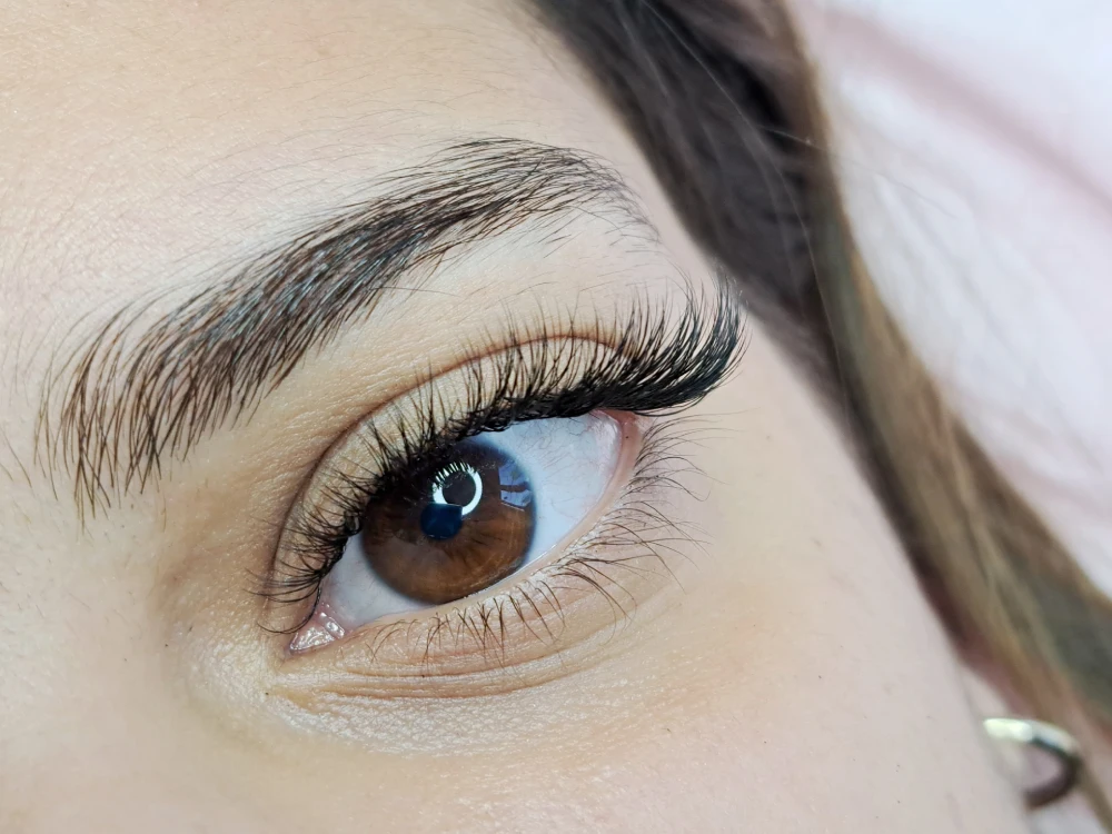 s curl lash