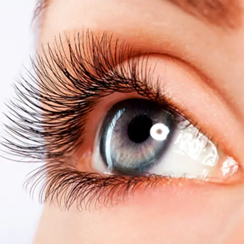 Eyelash Lift & Tint Customer