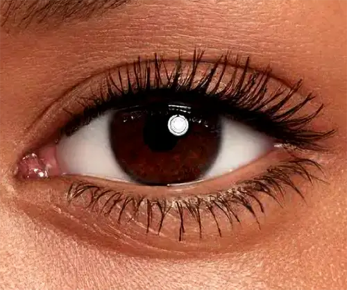 Eyelash Lift & Tint Customer